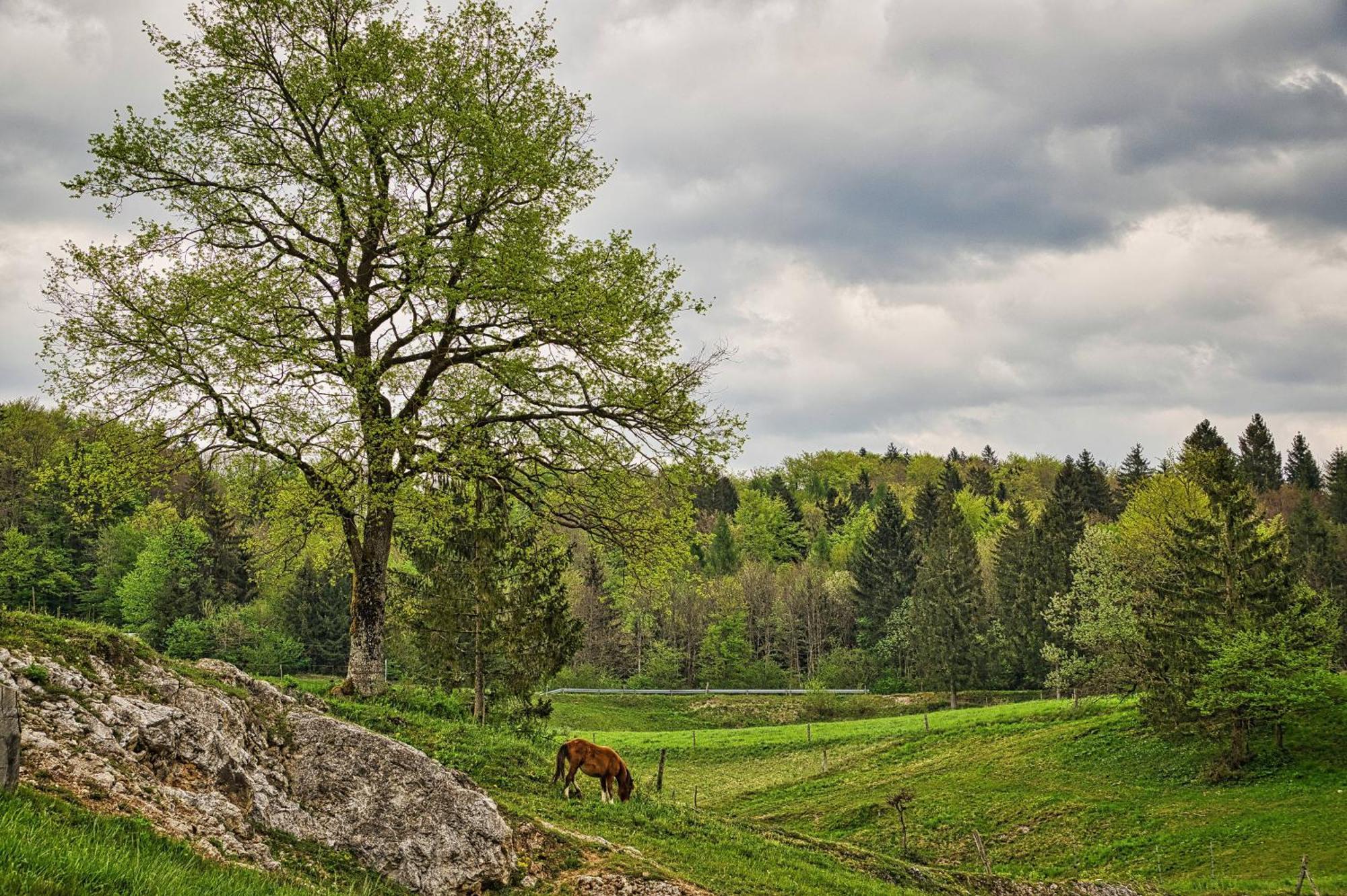 Hotel Cowboy'S Land Visnja Gora Exterior foto