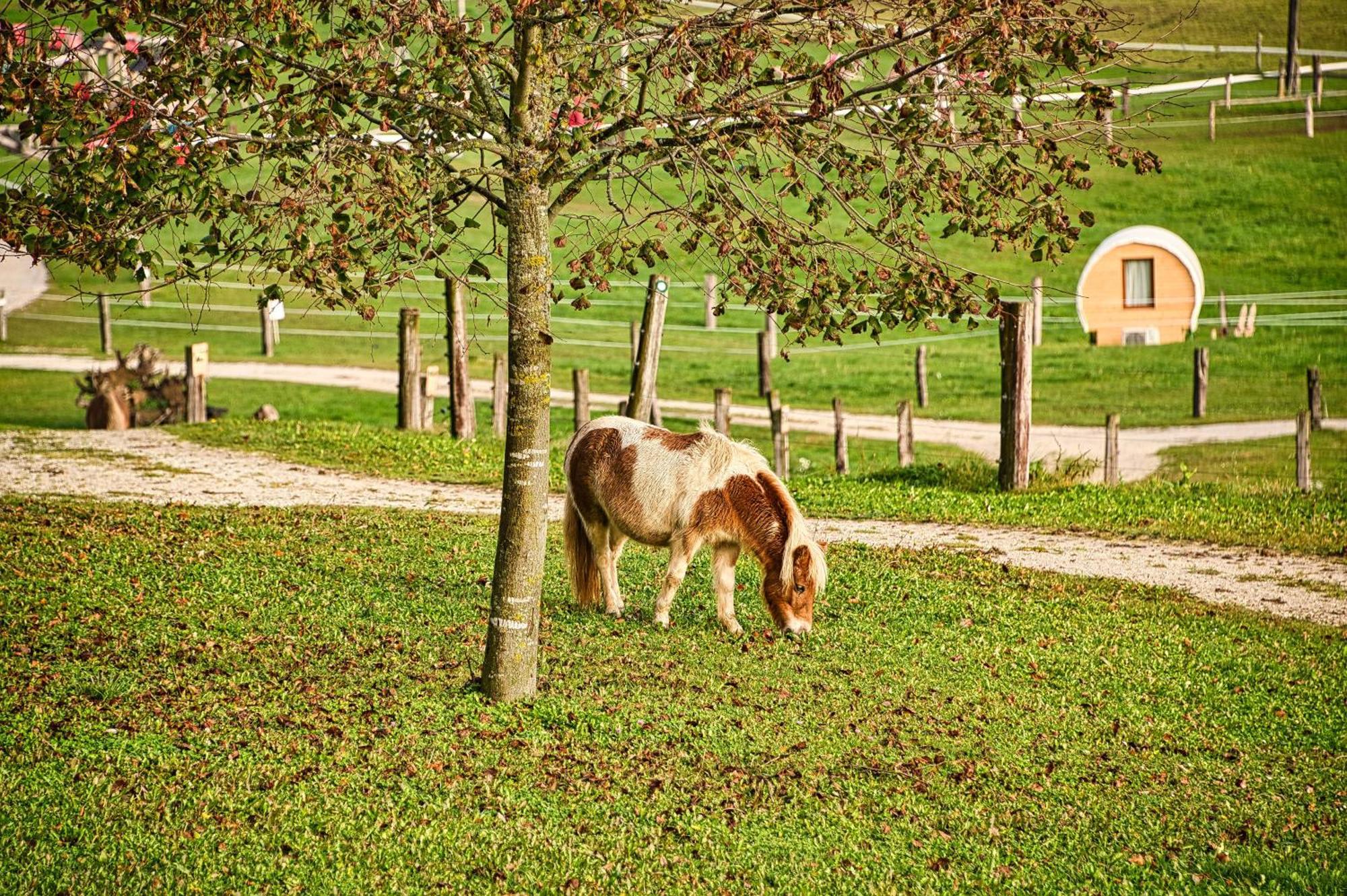 Hotel Cowboy'S Land Visnja Gora Exterior foto